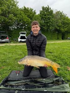 Mirror Carp