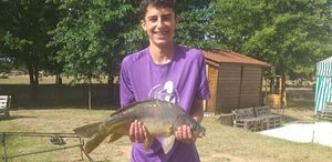 Mirror Carp