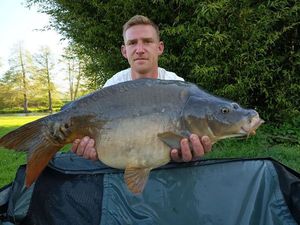 Mirror Carp