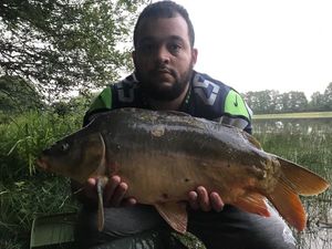 Mirror Carp