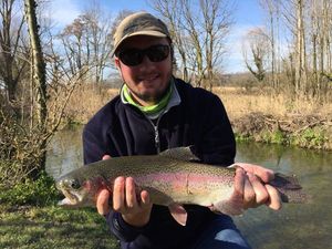 Rainbow Trout