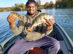 European Perch