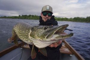 Northern Pike