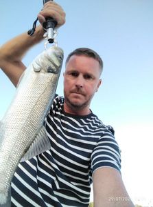 European Bass (Seabass)