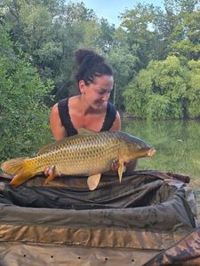 Common Carp