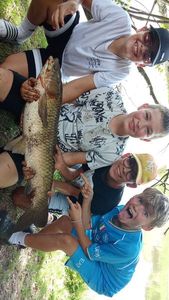 Grass Carp