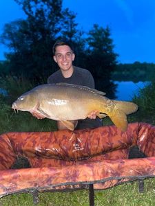 Mirror Carp