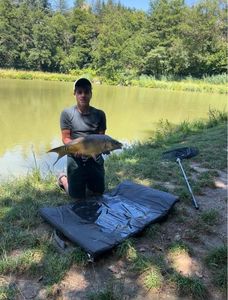 Mirror Carp