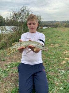 Northern Pike