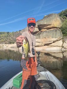 Smallmouth Bass