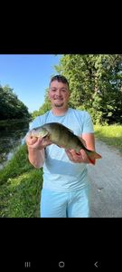 European Perch