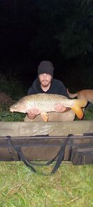 Common Carp