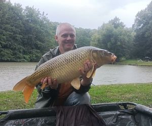 Common Carp