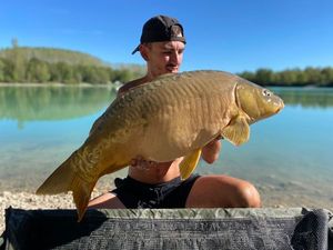 Mirror Carp