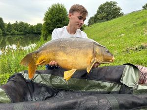Mirror Carp