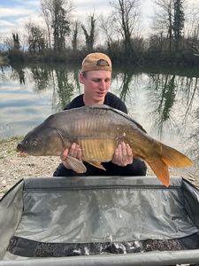 Leather Carp