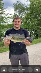 Largemouth Bass