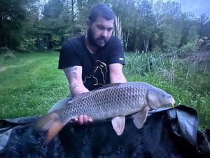 Common Carp
