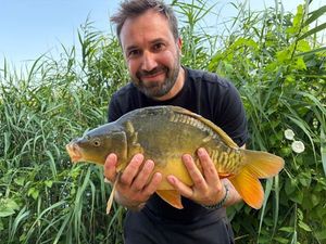Mirror Carp