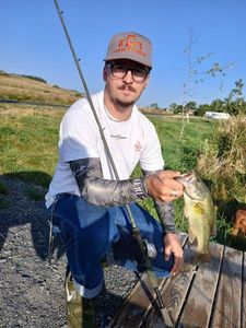 Largemouth Bass