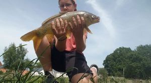 Common Carp