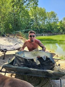 Silver Carp