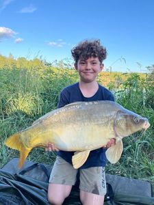 Mirror Carp