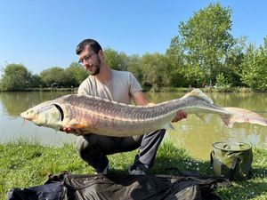 Sturgeon