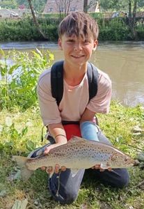 Sea Trout
