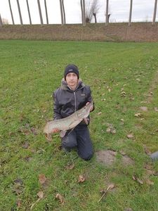Northern Pike
