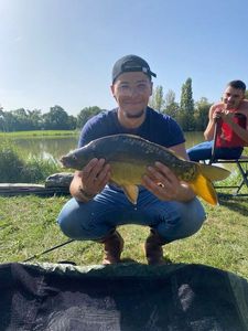 Mirror Carp