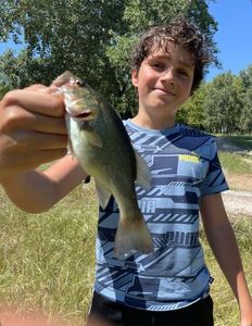 Largemouth Bass