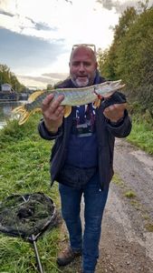 Northern Pike