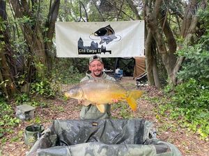 Mirror Carp