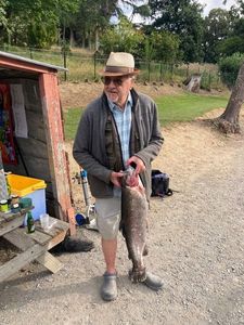 Rainbow Trout