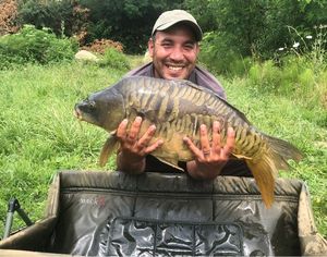 Mirror Carp