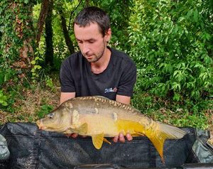 Mirror Carp
