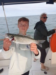 Spotted Seabass