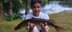 Northern Pike