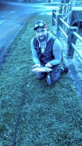Brown Trout