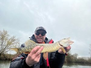 Northern Pike