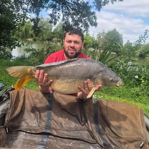 Mirror Carp