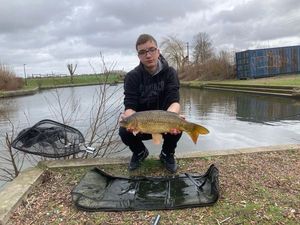 Common Carp