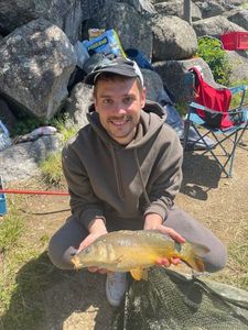 Mirror Carp