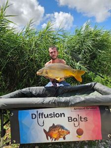 Mirror Carp