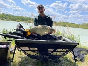 Mirror Carp