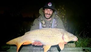 Common Carp
