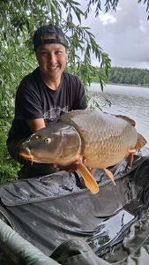 Common Carp