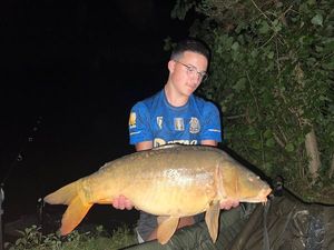 Mirror Carp