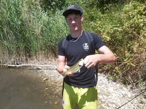 Largemouth Bass